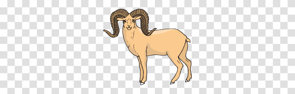 Horns Clipart Wildlife, Mammal, Animal, Goat, Elephant Transparent Png