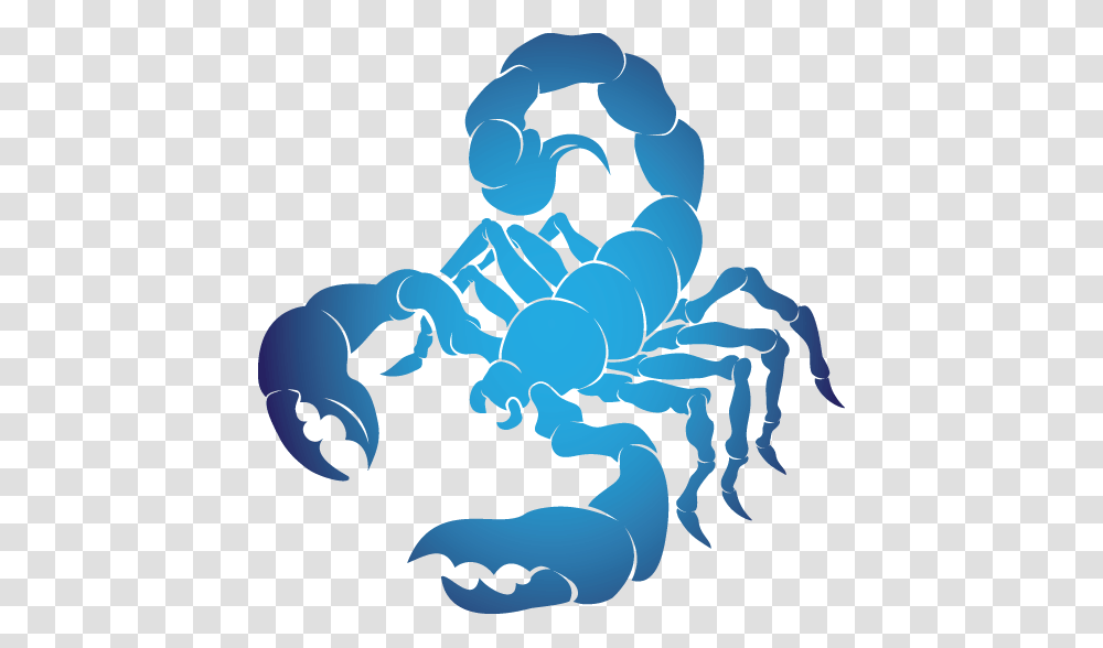 Horoscope Scorpio Sign Clipart, Animal, Painting, Sea Life, Scorpion Transparent Png