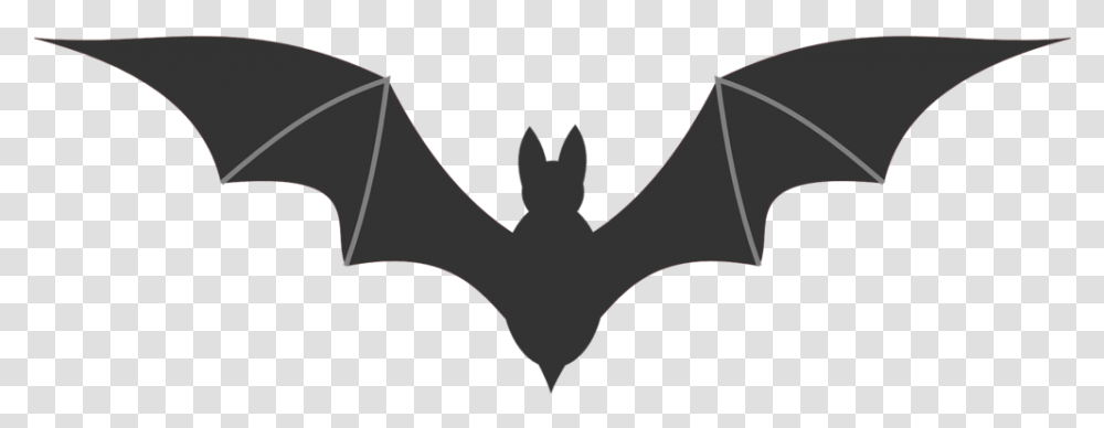 Horror Bat, Mammal, Animal, Wildlife Transparent Png