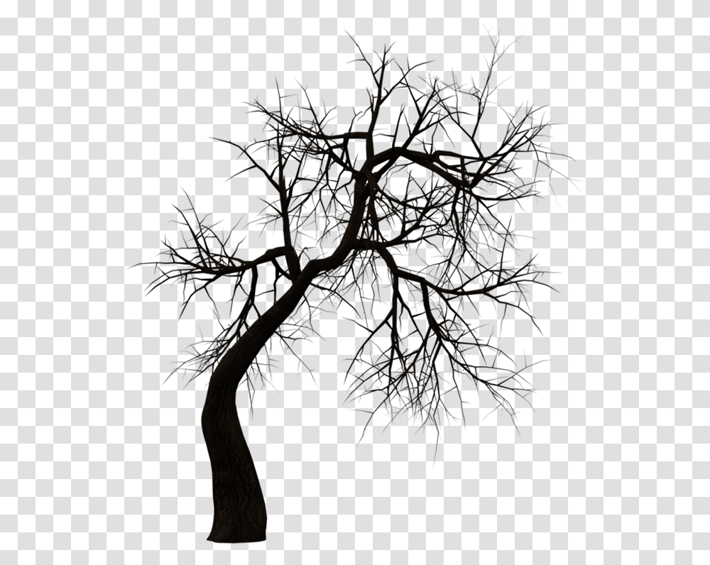 Horror Black And White, Tree, Plant, Nature, Outdoors Transparent Png