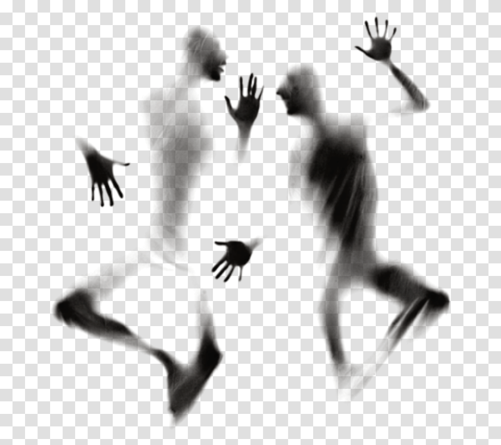 Horror, Silhouette, Person, Human, Bird Transparent Png