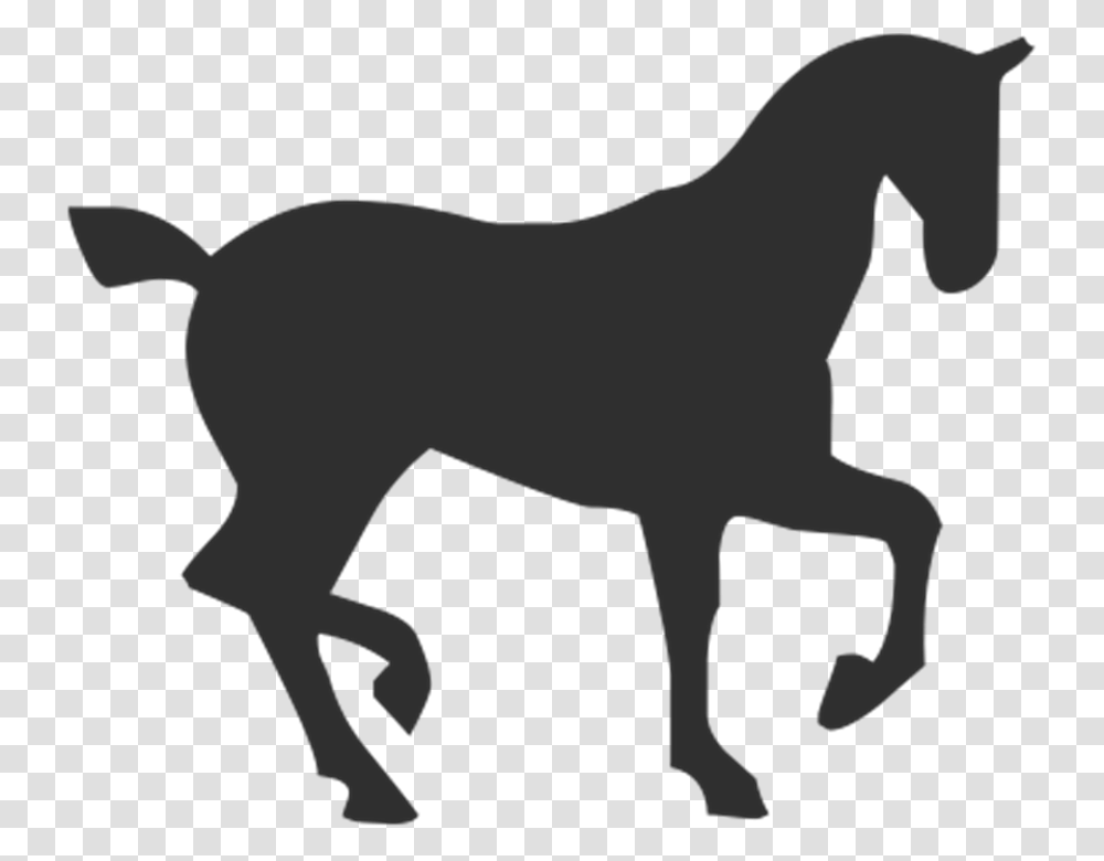 Horse 960, Silhouette, Mammal, Animal, Person Transparent Png