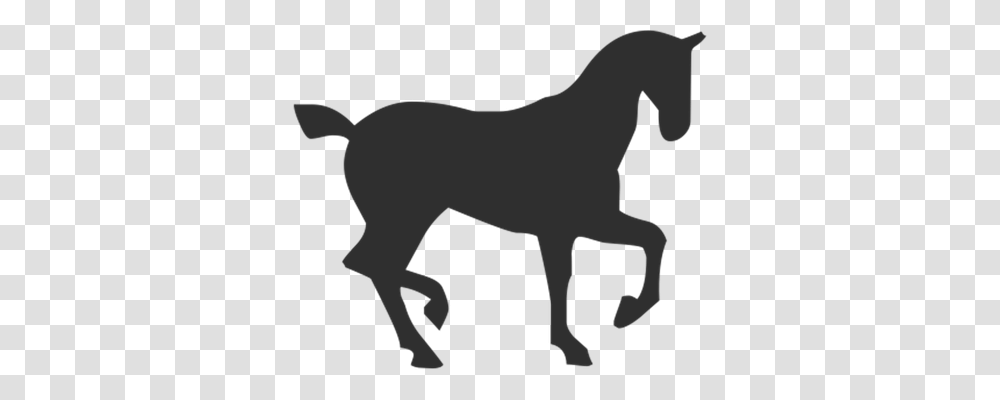 Horse Education, Mammal, Animal, Silhouette Transparent Png