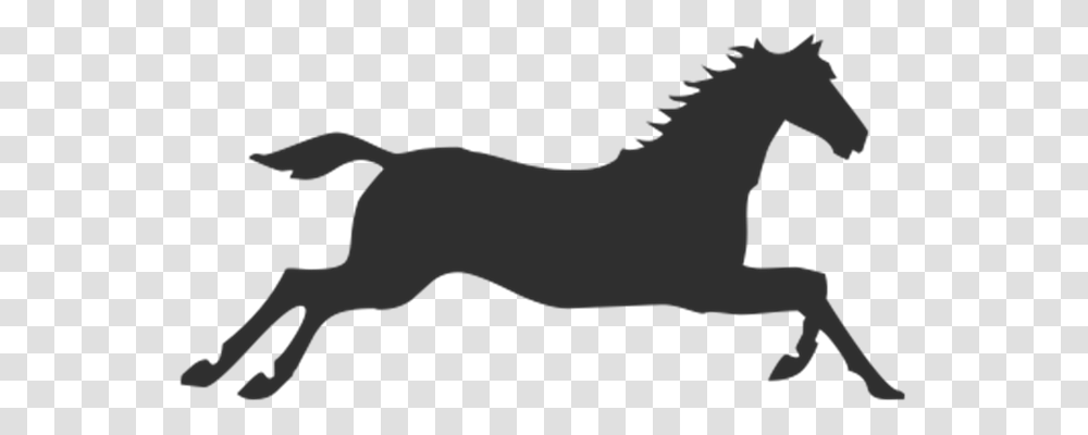 Horse Education, Silhouette, Animal, Reptile Transparent Png