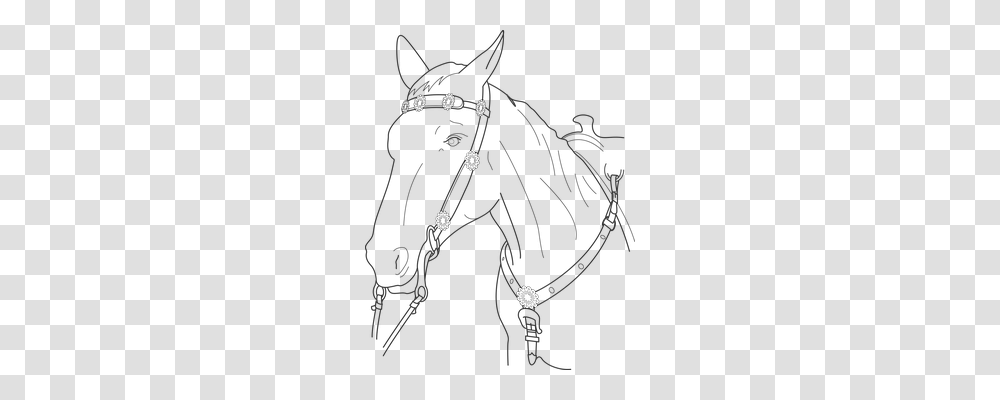 Horse Animals, Accessories, Accessory, Bow Transparent Png