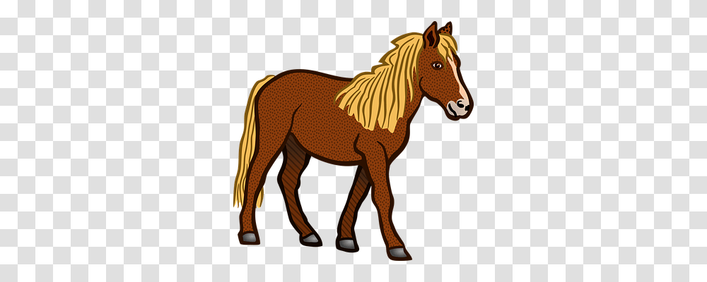 Horse Animals, Mammal, Colt Horse, Wildlife Transparent Png