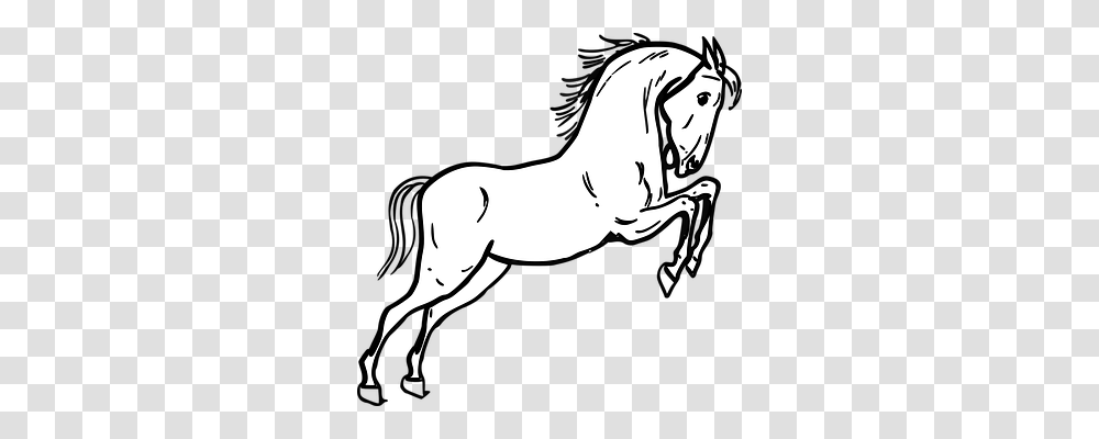 Horse Animals, Mammal, Antelope, Wildlife Transparent Png