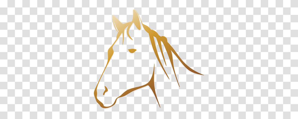 Horse Animals, Bow, Mammal Transparent Png