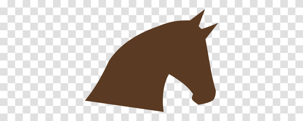 Horse Animals, Mammal, Wildlife, Brown Bear Transparent Png