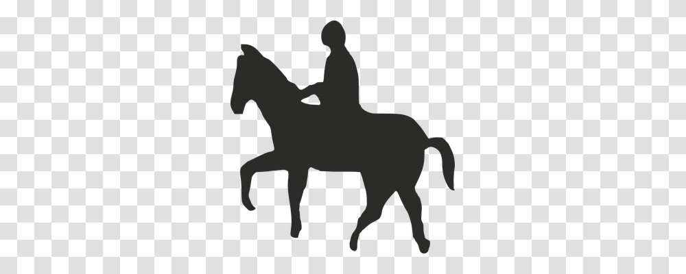 Horse Sport, Silhouette, Mammal, Animal Transparent Png