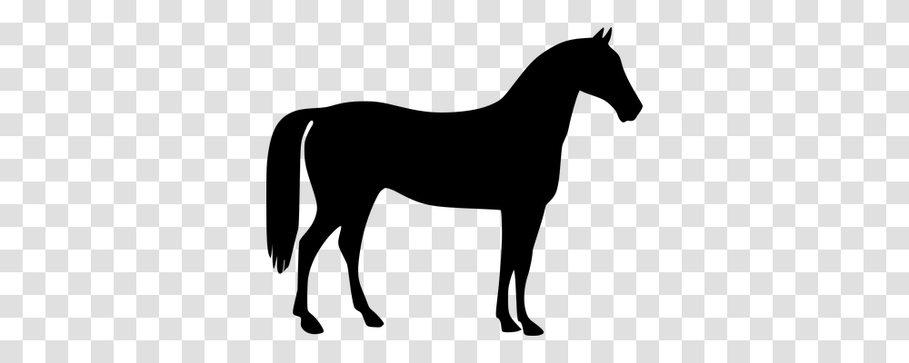 Horse Transport, Gray, World Of Warcraft Transparent Png