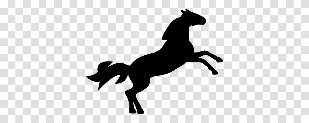 Horse Animals, Gray, World Of Warcraft Transparent Png