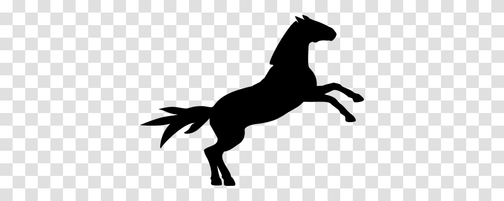 Horse Animals, Gray, World Of Warcraft Transparent Png