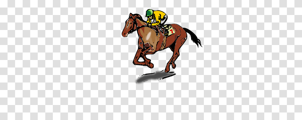 Horse Sport, Mammal, Animal, Equestrian Transparent Png