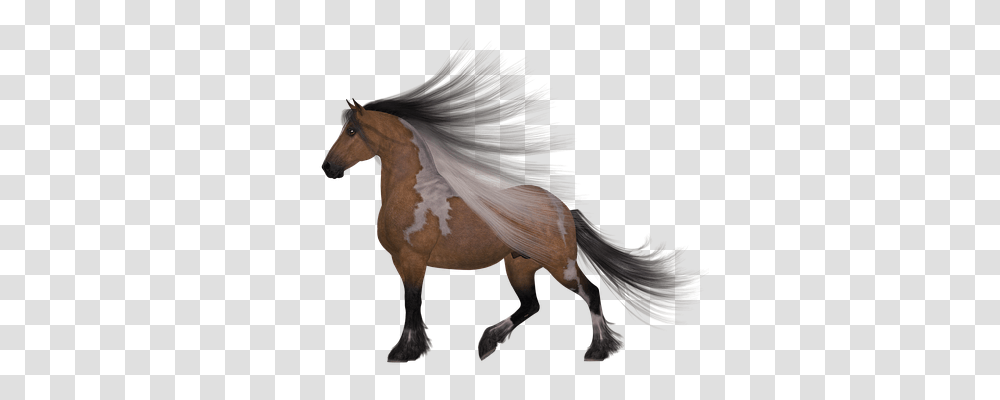 Horse Animals, Mammal, Stallion, Bird Transparent Png