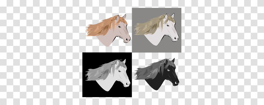 Horse Mammal, Animal, Collage, Poster Transparent Png