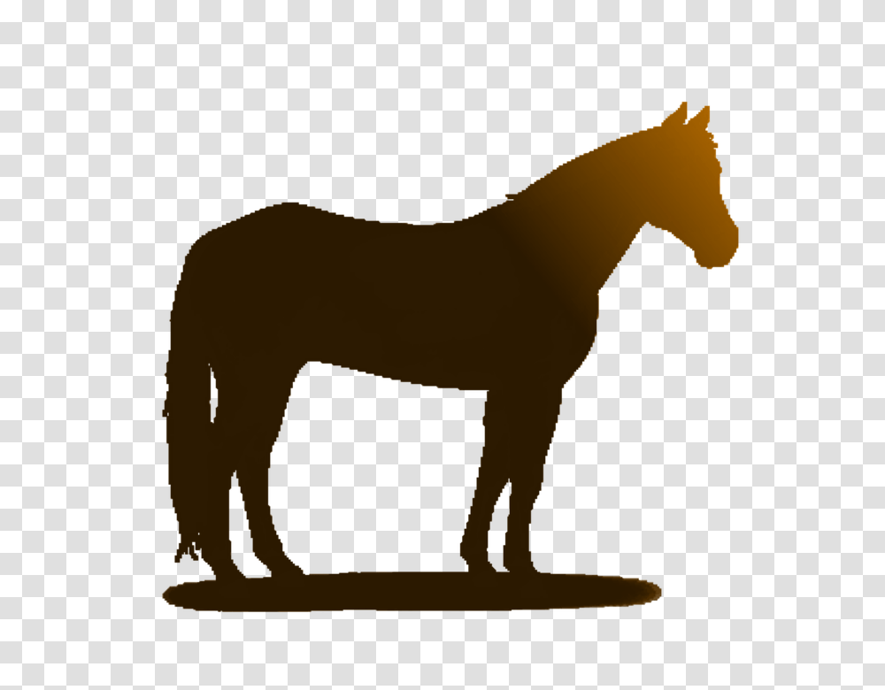 Horse 960, Mammal, Animal, Silhouette, Painting Transparent Png