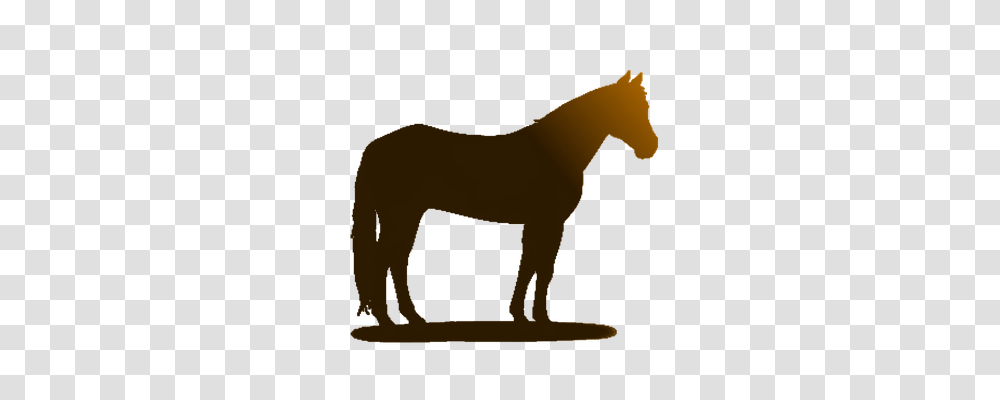 Horse Animals, Painting, Kneeling Transparent Png