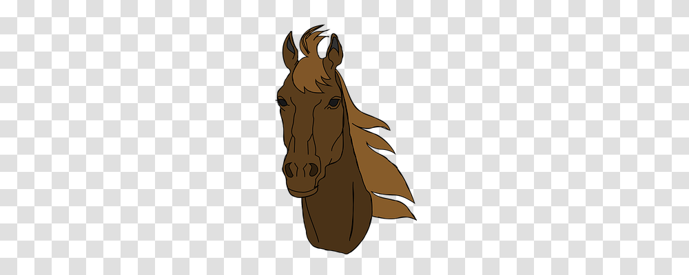 Horse Animals, Mammal, Colt Horse, Stallion Transparent Png