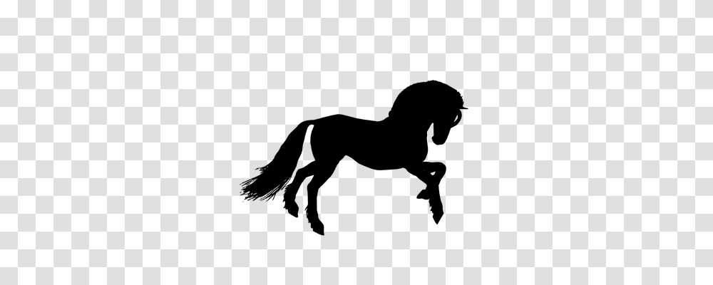 Horse Animals, Gray, World Of Warcraft Transparent Png