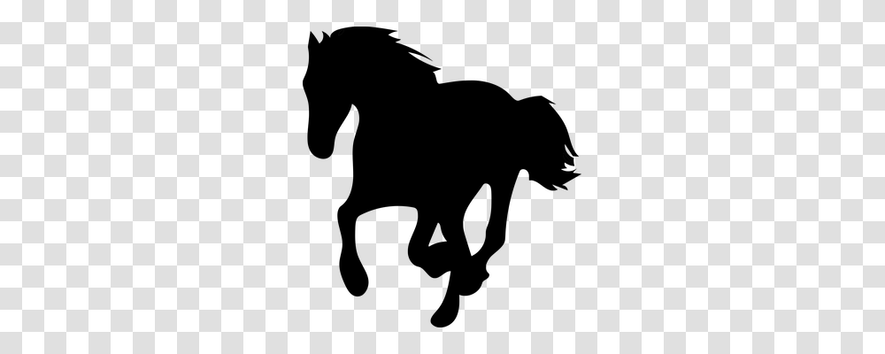 Horse Animals, Gray, World Of Warcraft Transparent Png