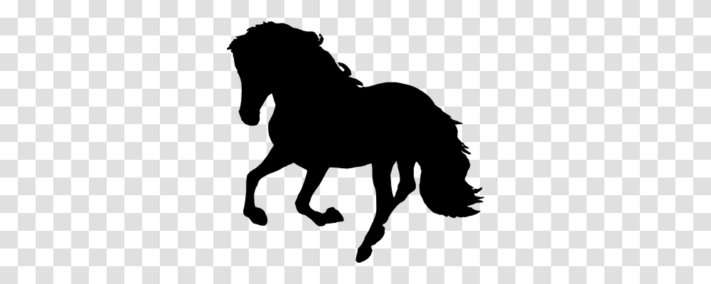 Horse Animals, Gray, World Of Warcraft Transparent Png