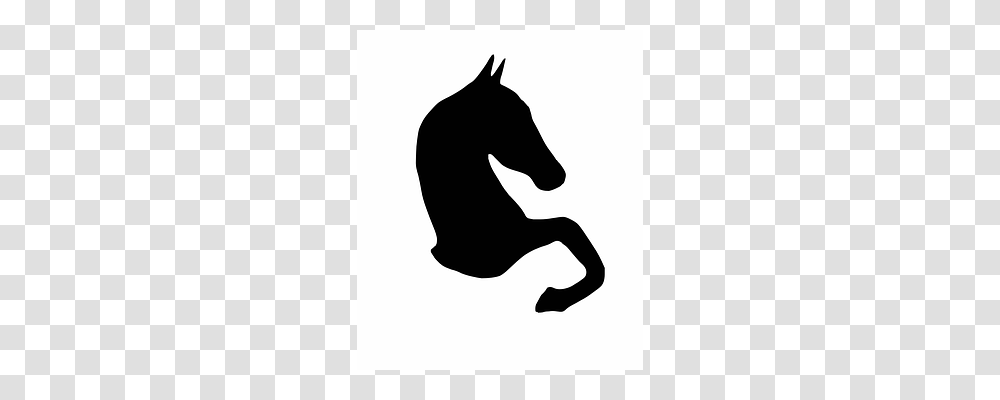 Horse Silhouette, Person, Human, Stencil Transparent Png