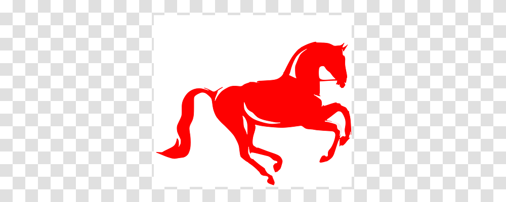 Horse Silhouette, Animal, Mammal, Ketchup Transparent Png