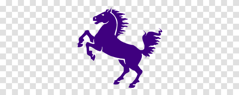 Horse Animals, Mammal, Colt Horse, Dragon Transparent Png