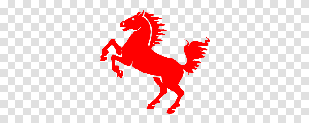 Horse Animals, Dragon, Mammal, Person Transparent Png