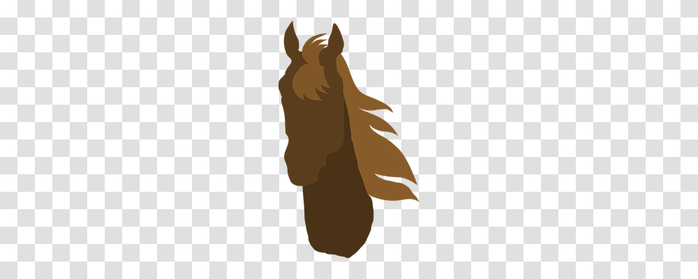Horse Animals, Sleeve, Long Sleeve Transparent Png