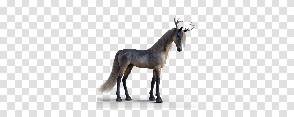 Horse Animals, Mammal, Antelope, Wildlife Transparent Png