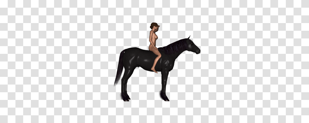 Horse Person, Mammal, Animal, Dance Pose Transparent Png