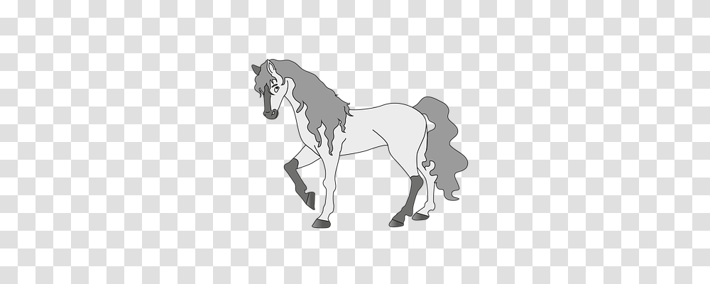 Horse Mammal, Animal, Foal, Colt Horse Transparent Png