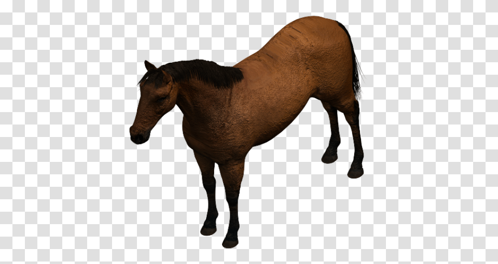 Horse 3ds Max Model Revit Horse, Mammal, Animal, Colt Horse, Foal Transparent Png