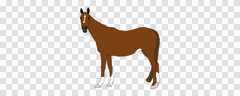 Horse Animals, Mammal, Colt Horse, Foal Transparent Png