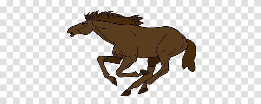 Horse Animals, Reptile, Mammal, Dinosaur Transparent Png