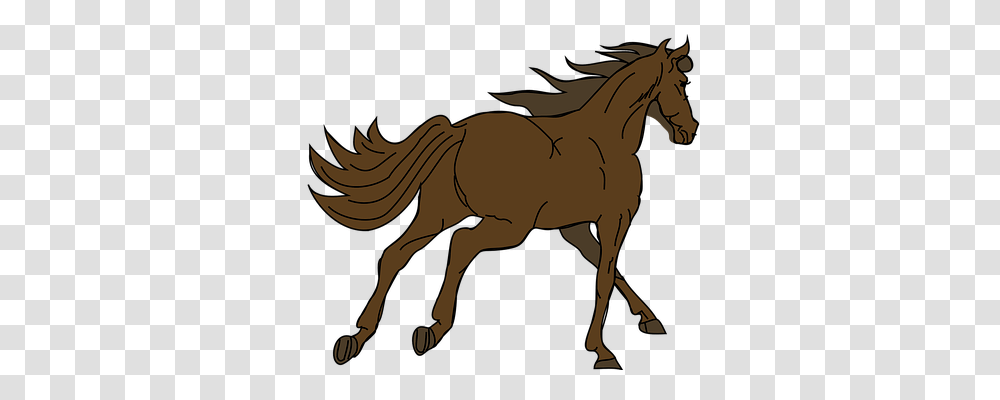 Horse Nature, Animal, Mammal, Colt Horse Transparent Png