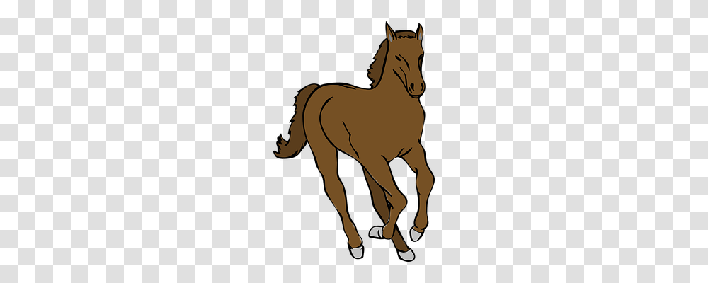 Horse Nature, Mammal, Animal, Colt Horse Transparent Png