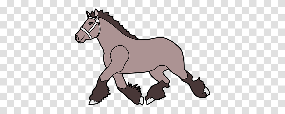 Horse Animals, Mammal, Foal, Colt Horse Transparent Png