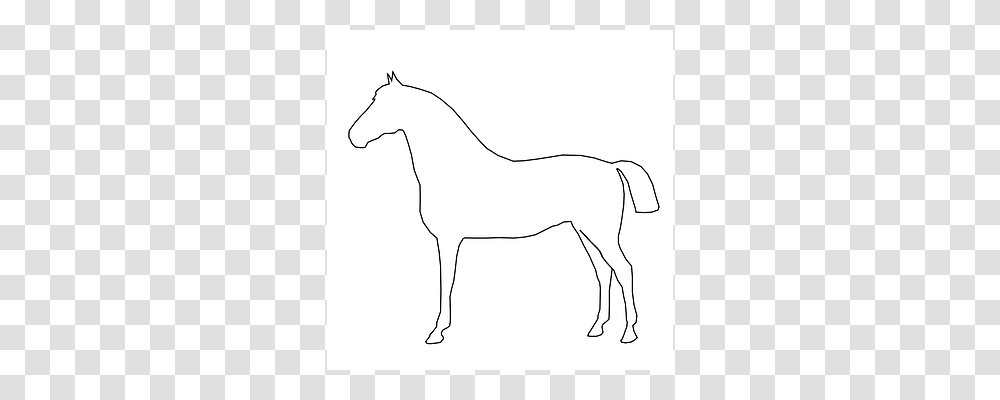 Horse Colt Horse, Mammal, Animal, Antelope Transparent Png