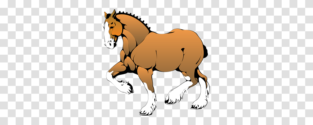Horse Animals, Mammal, Wildlife, Colt Horse Transparent Png