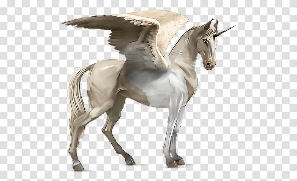 Horse Alado Aladus Cavalo Asas Wings Mikah014 Akhal Tekini Howrse, Mammal, Animal, Sculpture Transparent Png