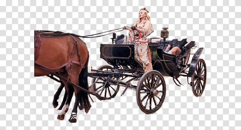 Horse And Buggy, Mammal, Animal, Carriage, Vehicle Transparent Png