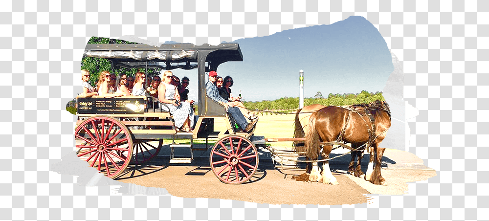 Horse And Buggy, Person, Human, Mammal, Animal Transparent Png