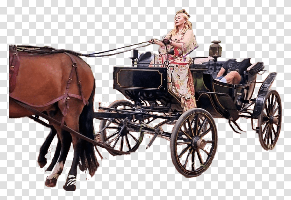 Horse And Carriage Chaise, Mammal, Animal, Vehicle, Transportation Transparent Png