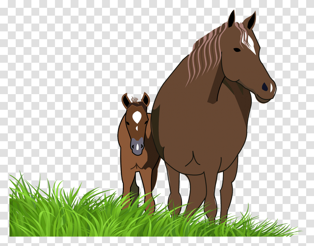 Horse And Foal Clipart, Mammal, Animal, Colt Horse Transparent Png