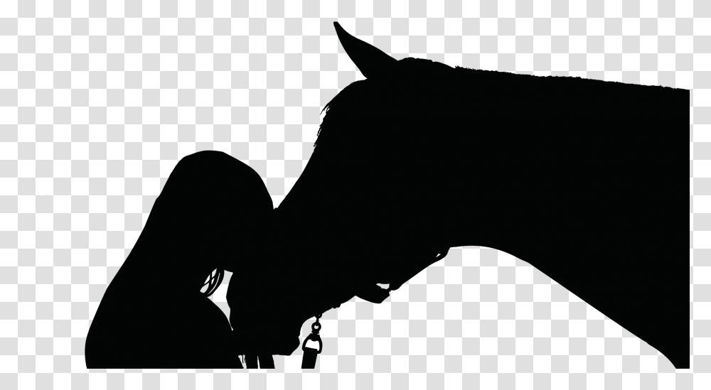 Horse And Person Silhouette, Photography, Face, Baby Transparent Png