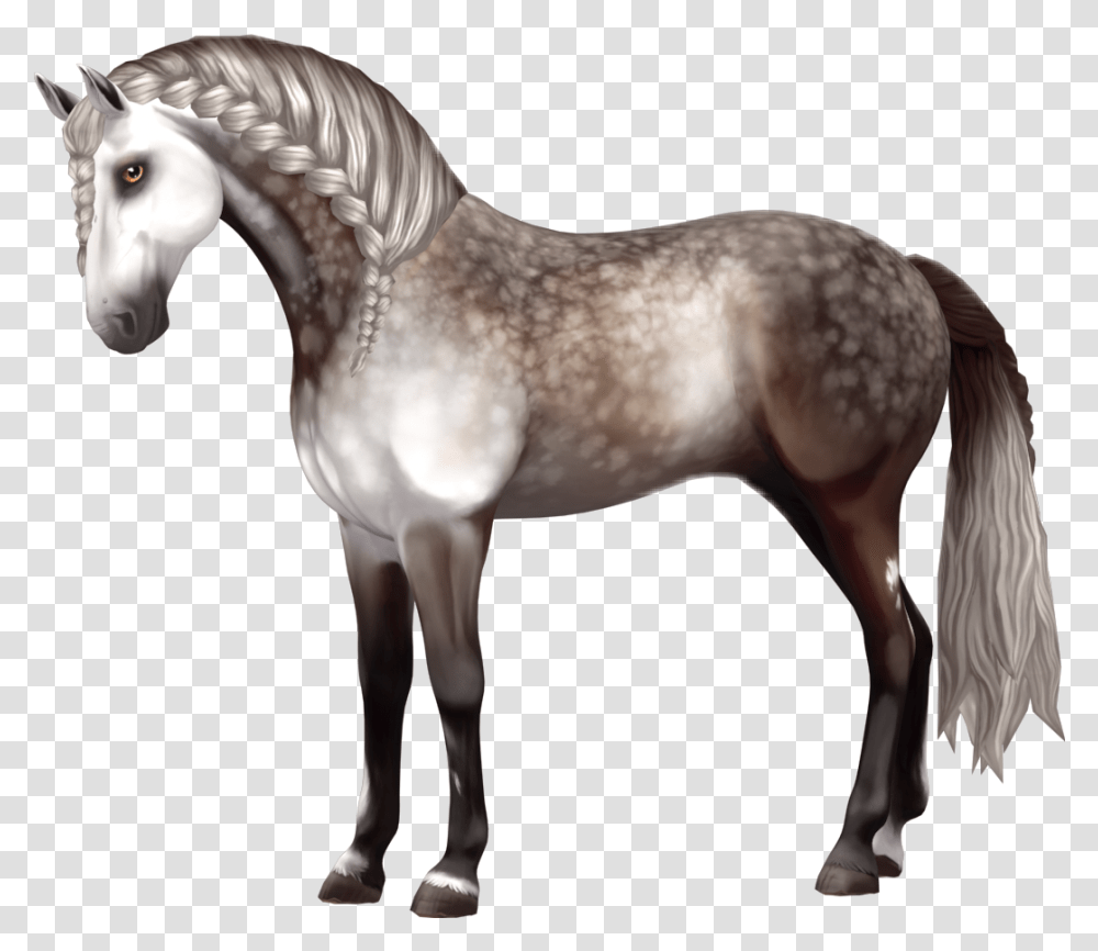 Horse Andalusian Andalusianhorse Starstable Starstableo Sso Andalusian, Mammal, Animal, Colt Horse, Foal Transparent Png
