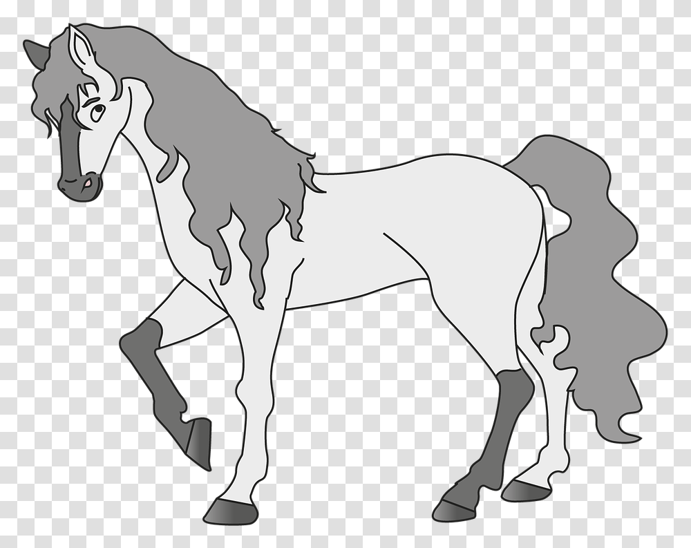 Horse Animal White Cartoon White Horse, Mammal, Foal, Colt Horse, Stallion Transparent Png